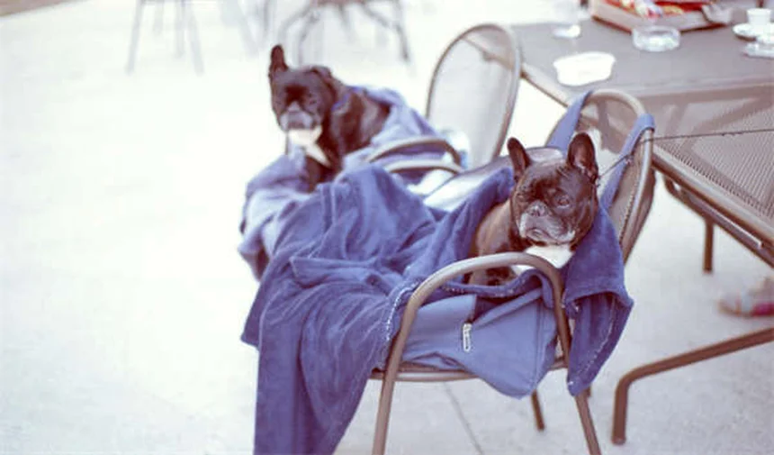 2025 Hyundai Ioniq 5 N: The Game-Changing EV You Need to Drive